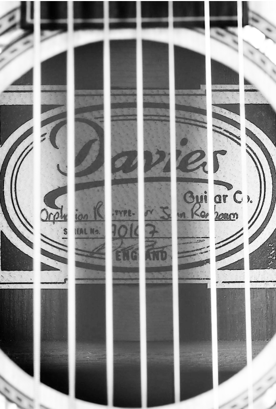 Davies Guitar custom built guitar inlay logo
